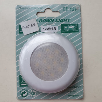 LED Downlight